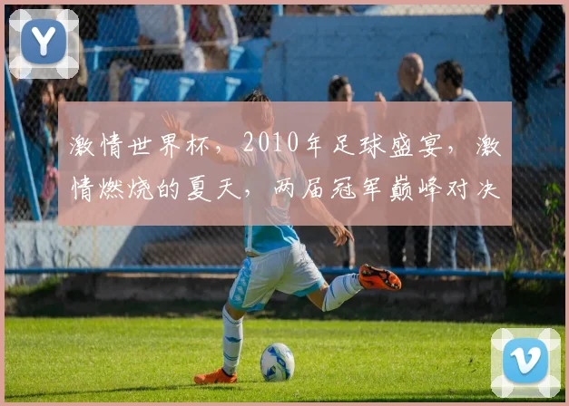 激情世界杯，2010年足球盛宴，激情燃烧的夏天，两届冠军巅峰对决，谁将问鼎荣耀
