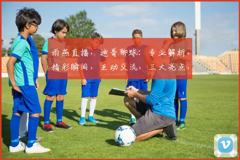 雨燕直播，迪哥聊球：专业解析，精彩瞬间，互动交流，三大亮点，不容错过